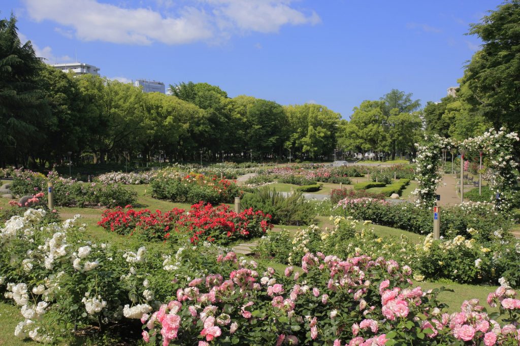 うつぼ公園